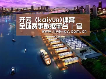 案例展示八