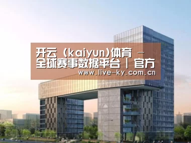 案例展示四